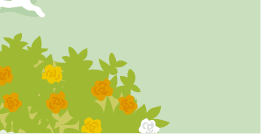 �C���[�W�C���X�g